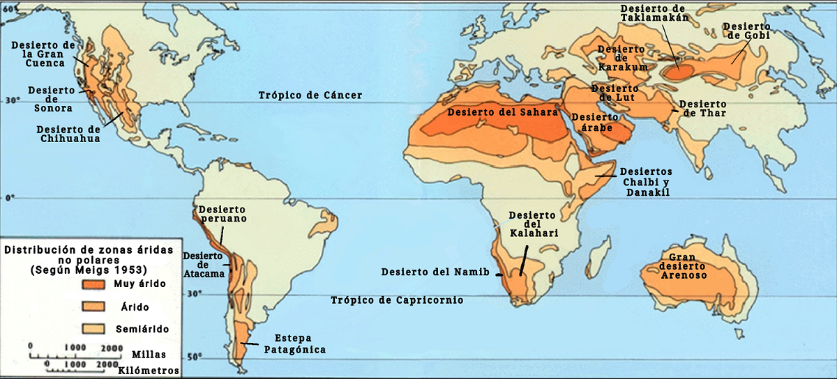 Zonas áridas del planeta excepto los polos